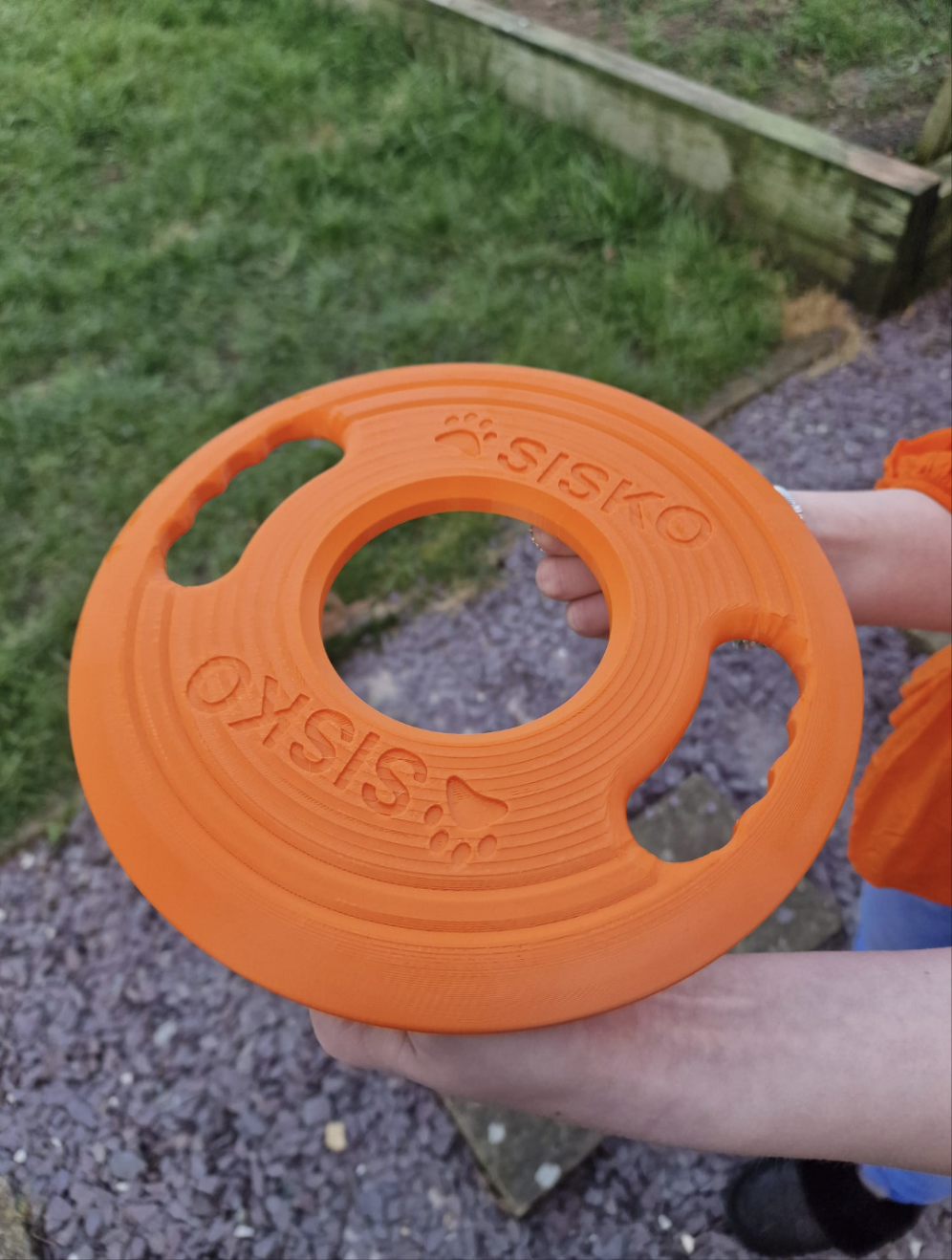 Custom Floating frisbee