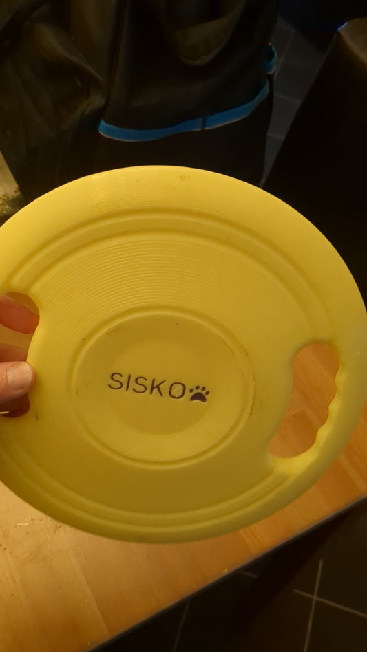 Custom Floating frisbee