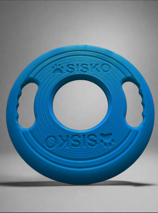 Custom Floating frisbee