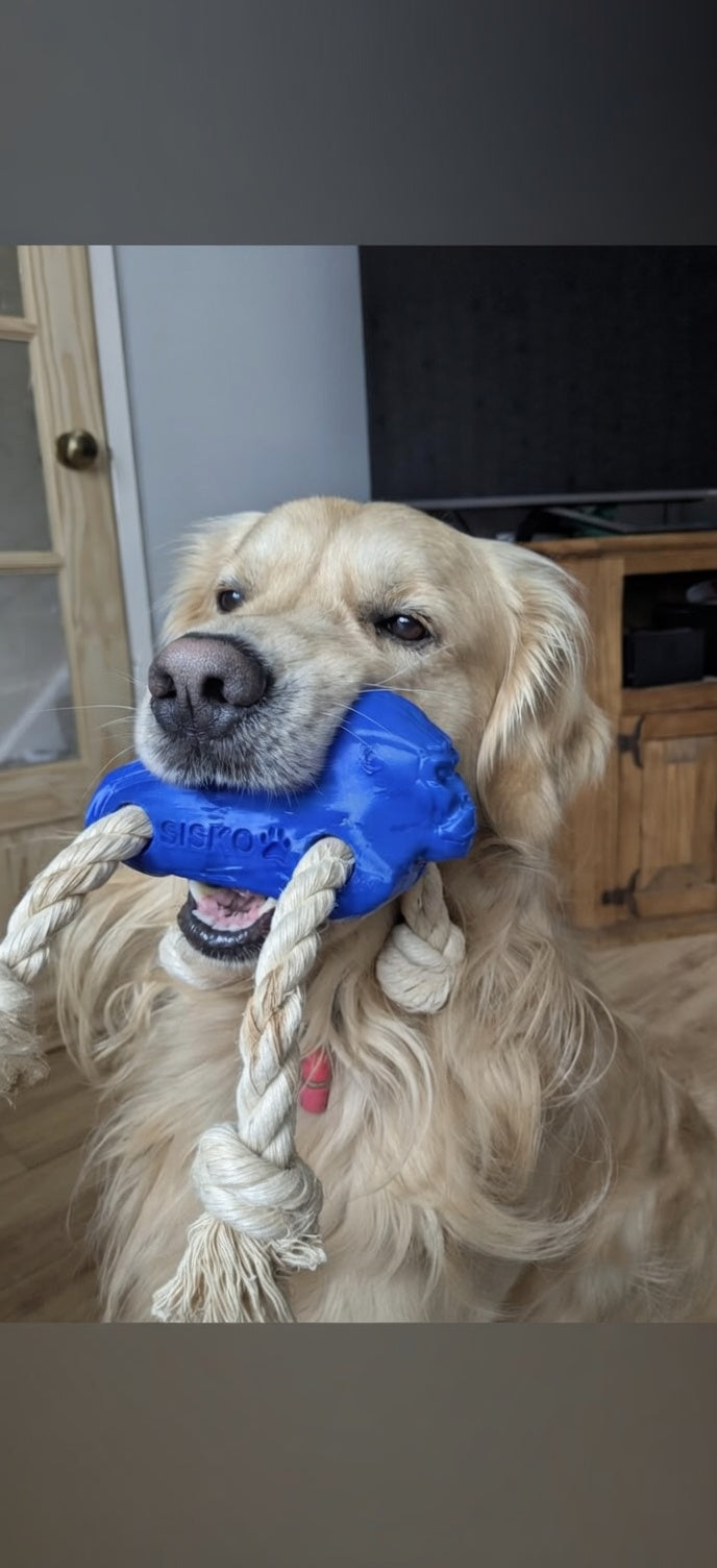 Custom Gorilla Tug Toy